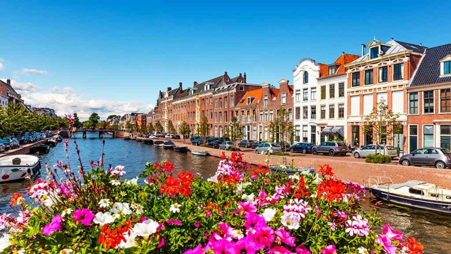 must-do-see-activities-in-one-day-in-haarlem-holland-netherlands